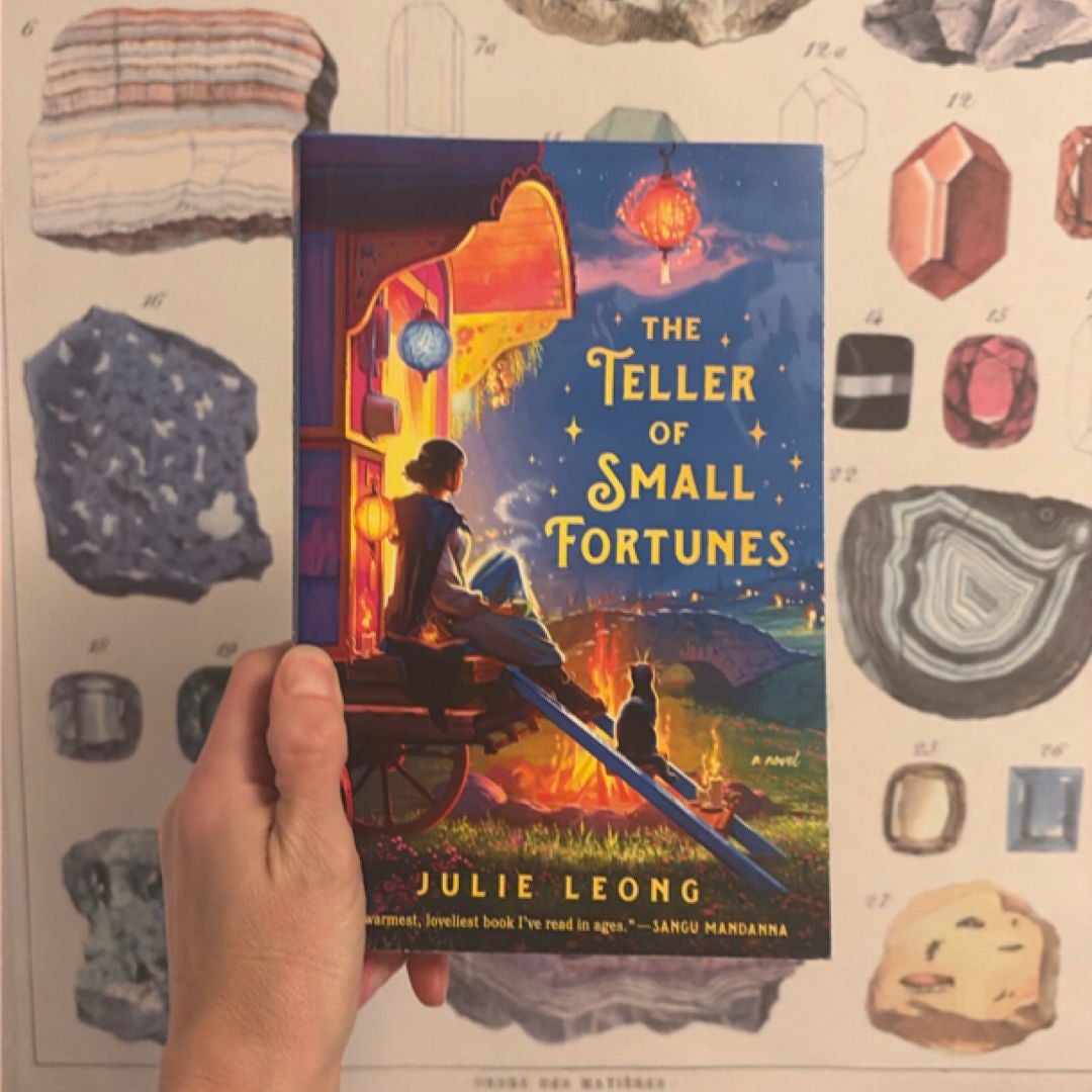 The Teller of Small Fortunes