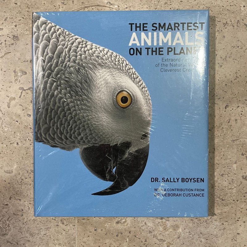 The Smartest Animals on the Planet