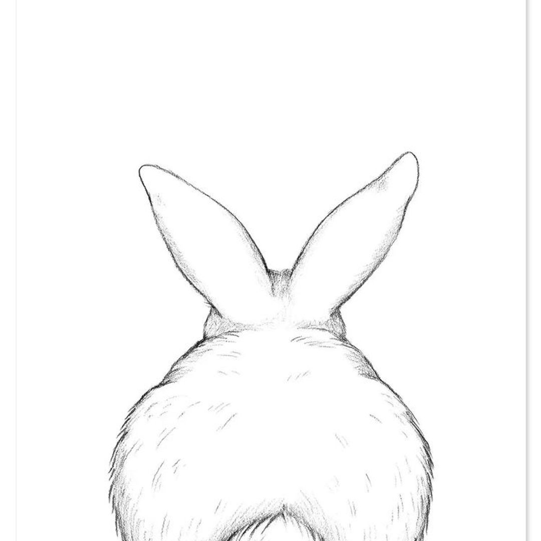 White Rabbit Bookstore