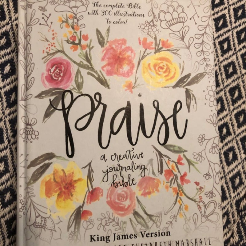Praise: A Creative Journaling Bible