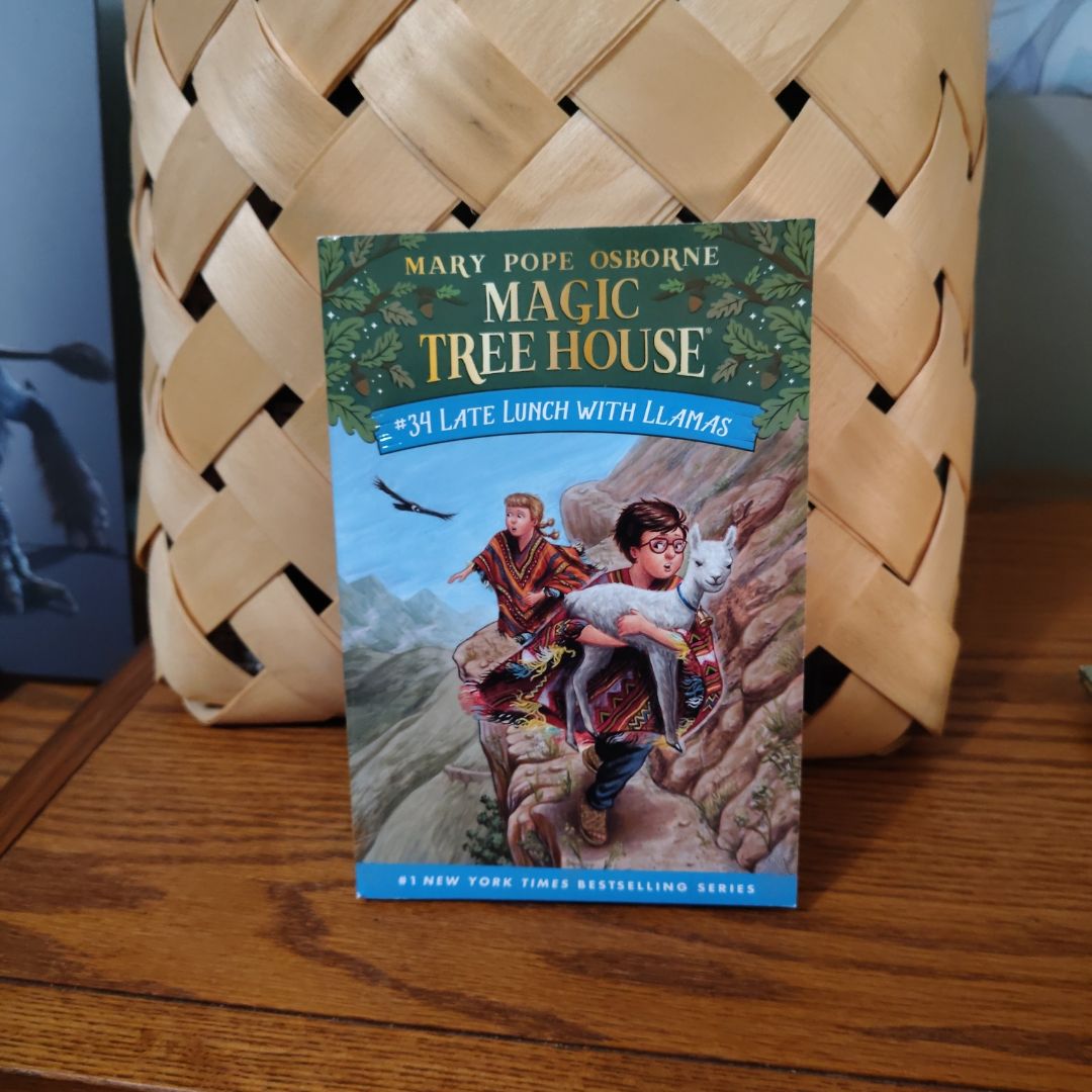 Late Lunch with Llamas