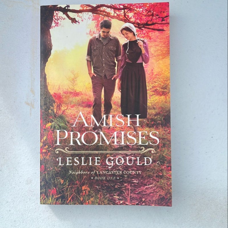 Amish Promises