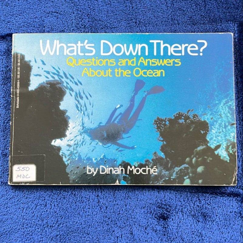 What’s Down There?