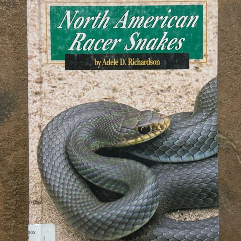 North American Racer Snakes