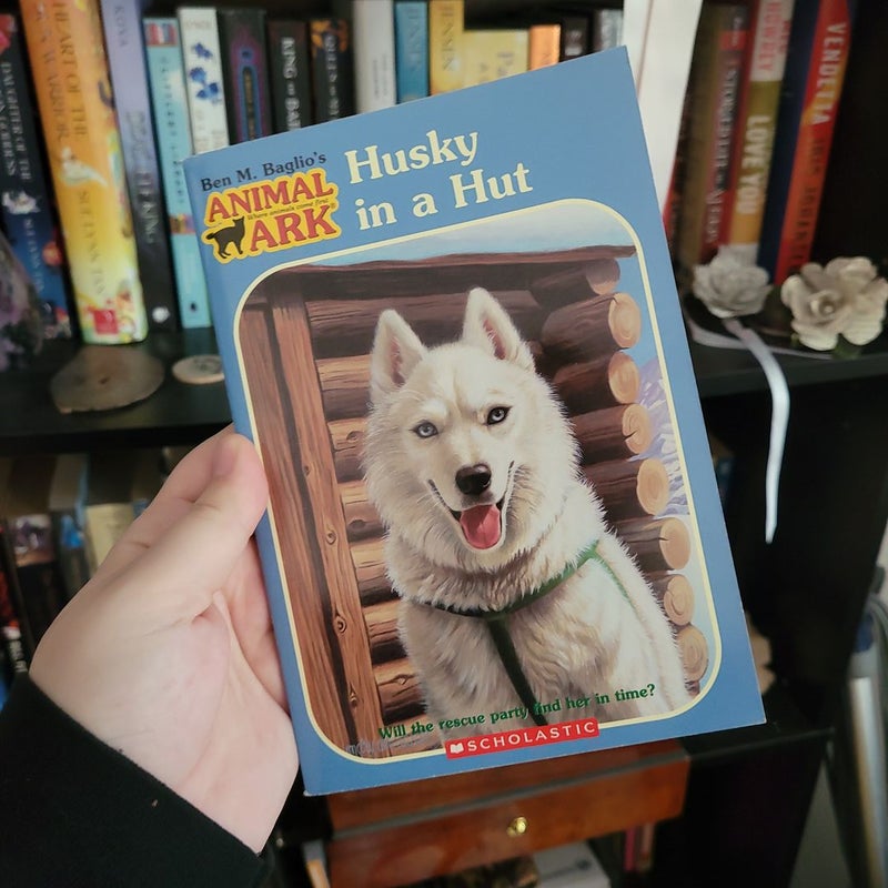 Husky in a Hut