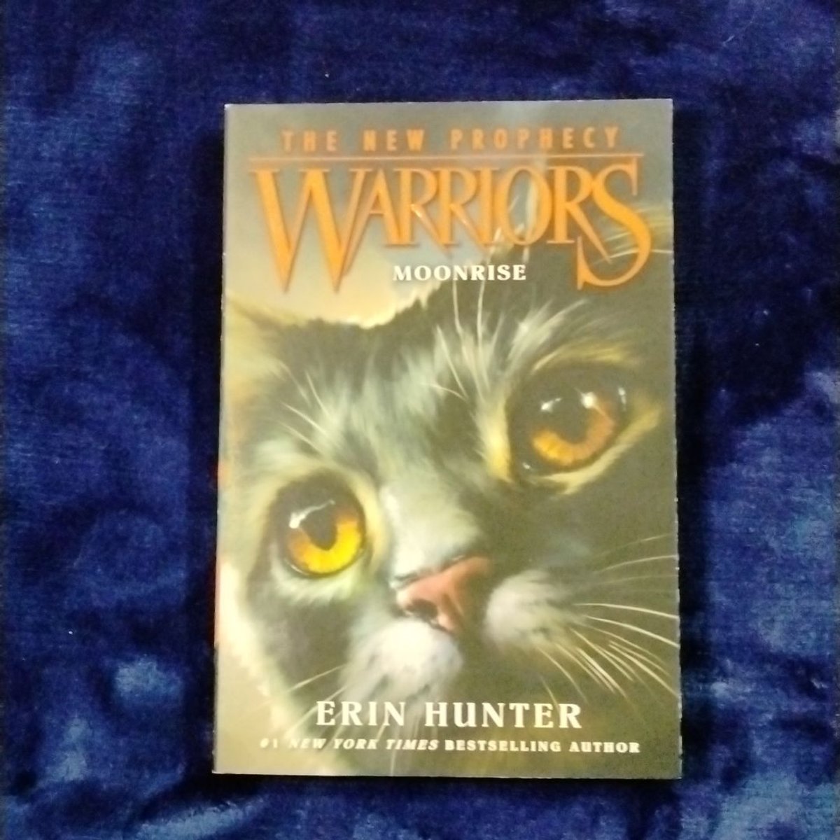 Warriors the New Prophecy 2 Moonrise by Erin Hunter