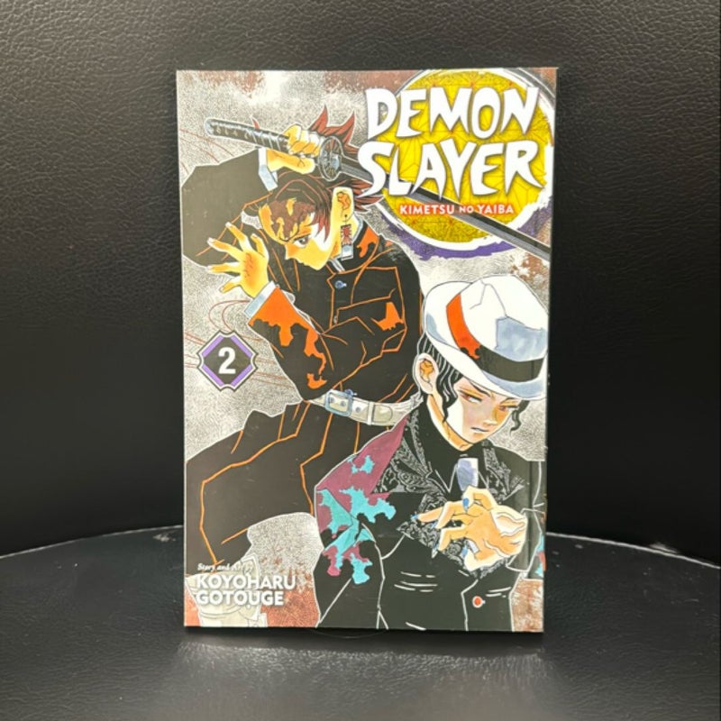 Demon Slayer: Kimetsu No Yaiba, Vol. 2