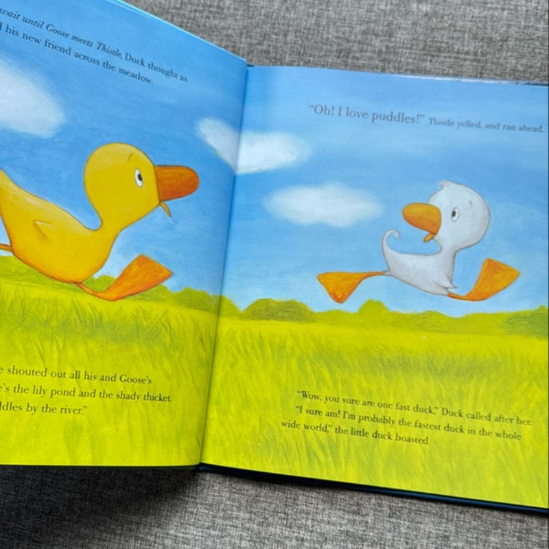 Duck, Duck, Goose