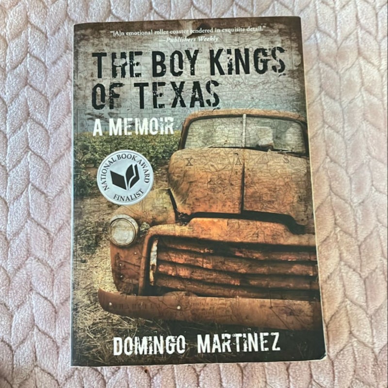 The Boy Kings of Texas