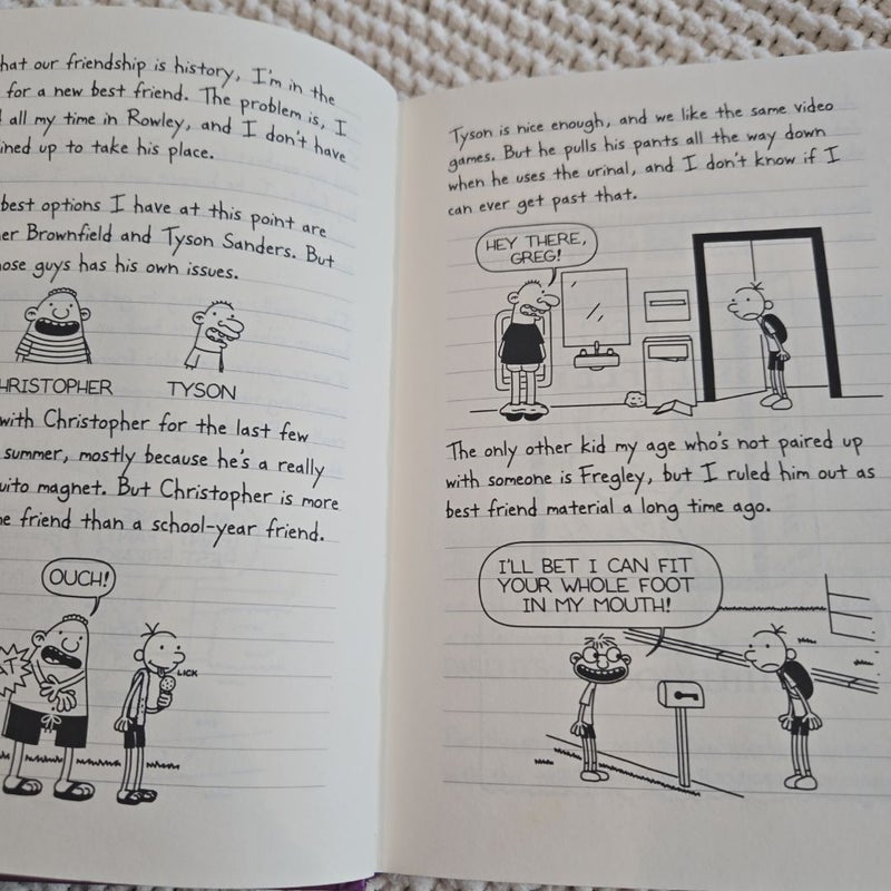 Diary of a Wimpy Kid # 5: The Ugly Truth