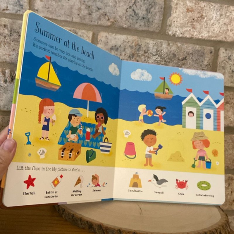 Lift-The-Flap Seasons and Weather IR