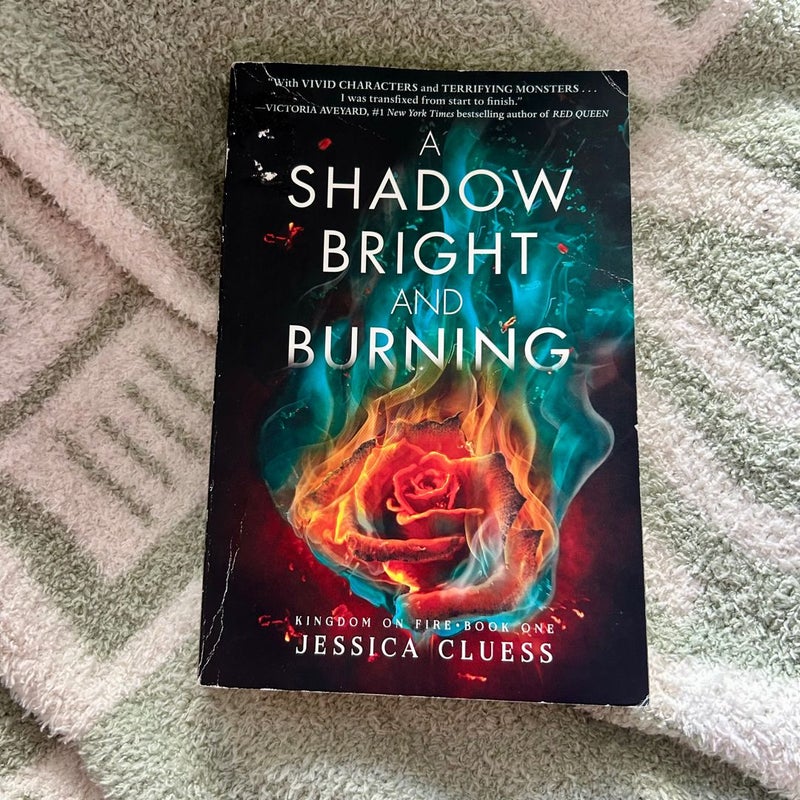 A Shadow Bright and Burning (Kingdom on Fire, Book One)