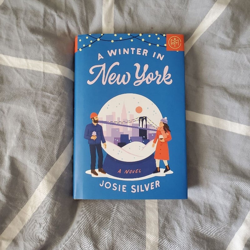 A Winter in New York