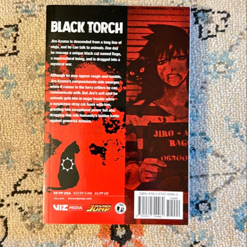 Black Torch, Vol. 1