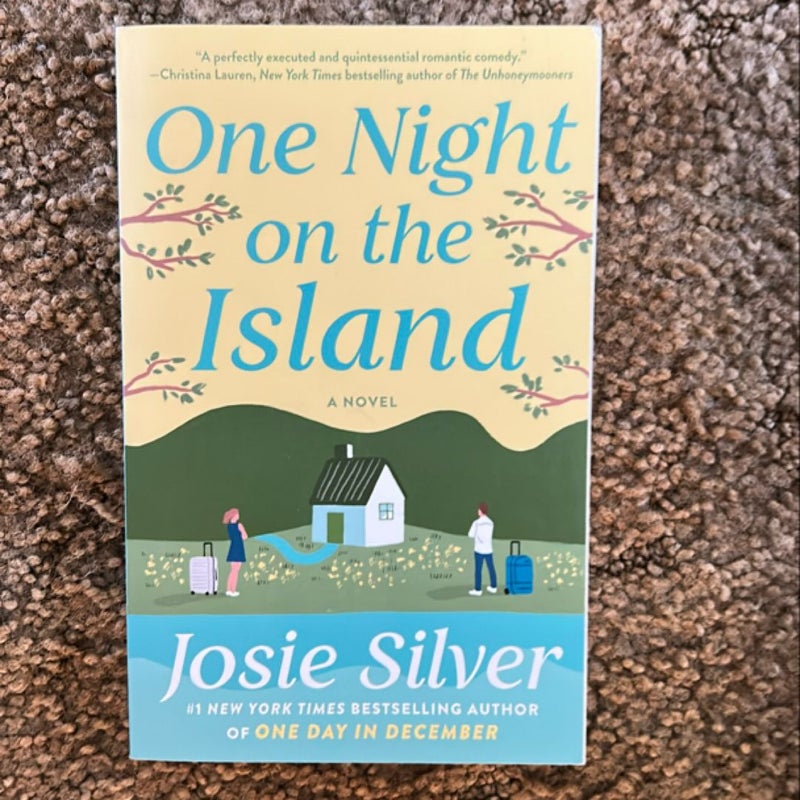 One Night on the Island