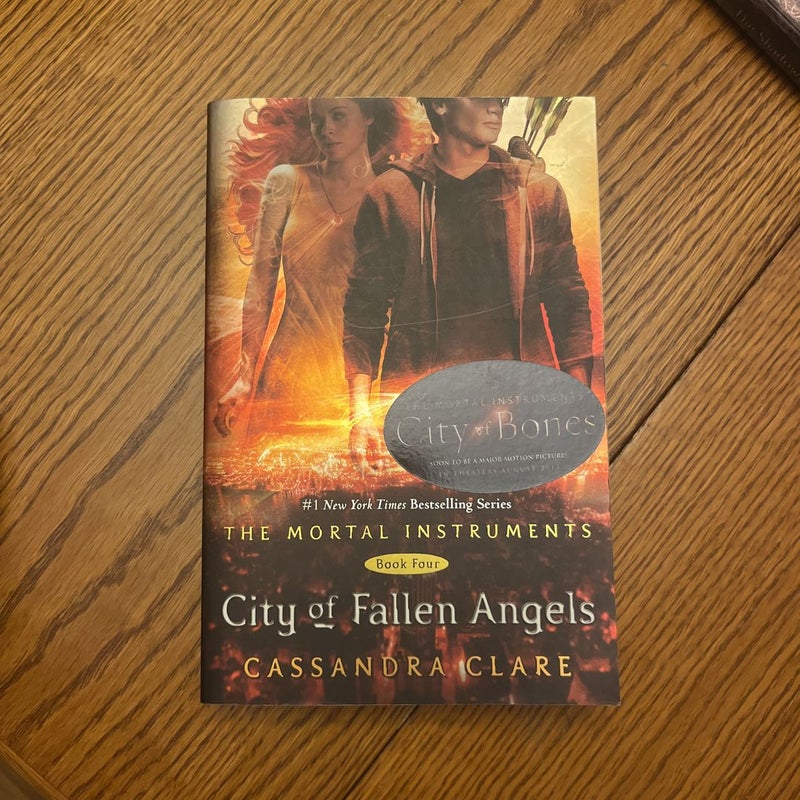 City of Fallen Angels