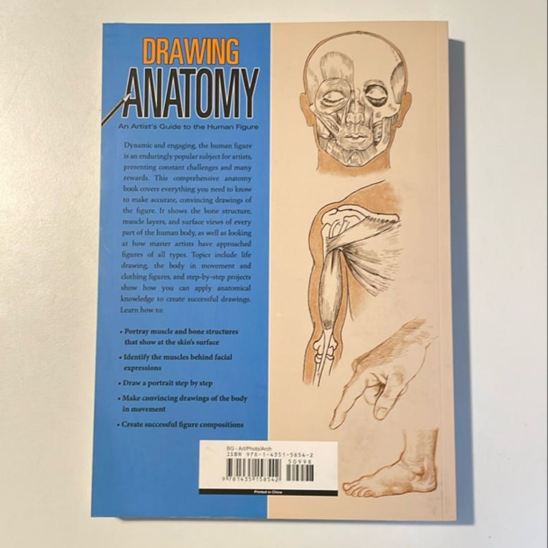 Drawing Anatomy: An Artists' Guide to the Human Figure