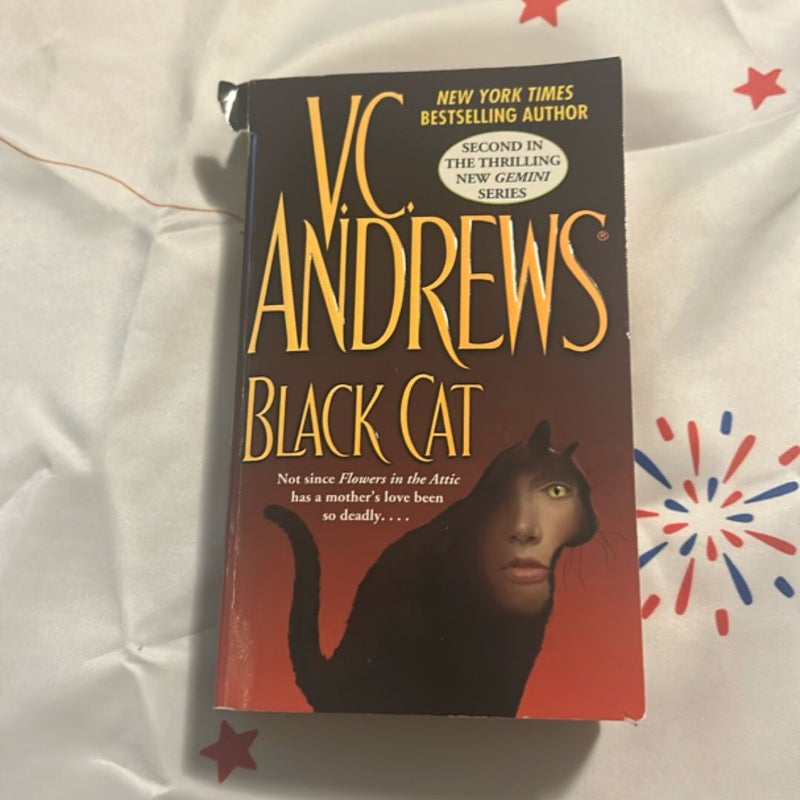 Black Cat