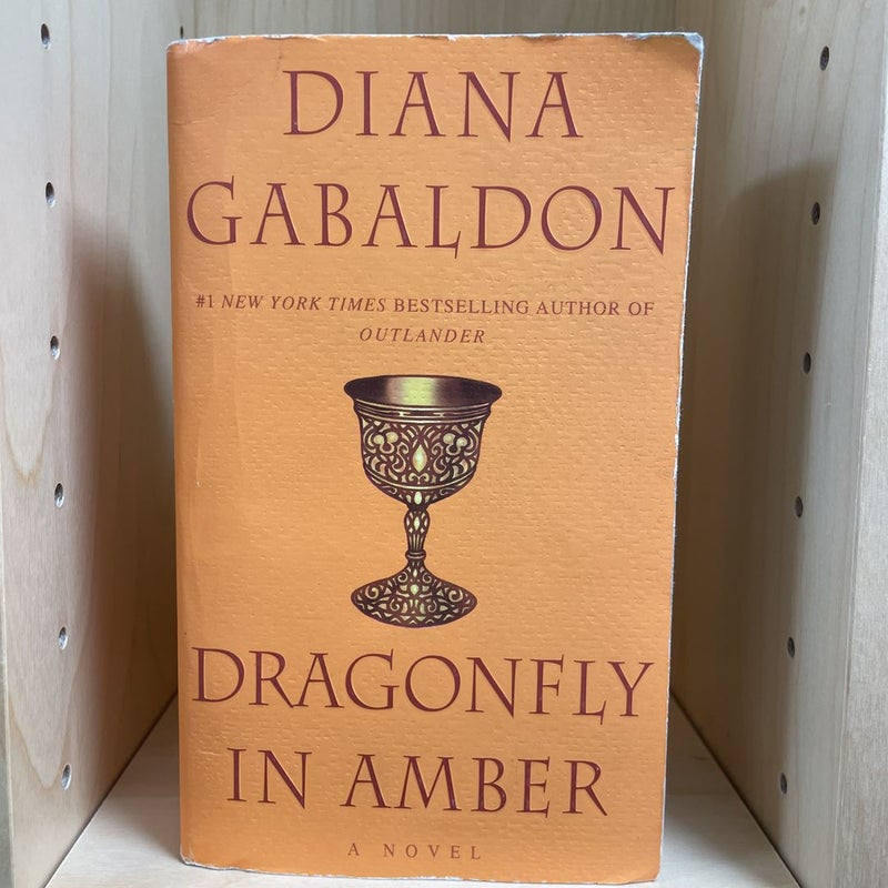 Dragonfly in Amber