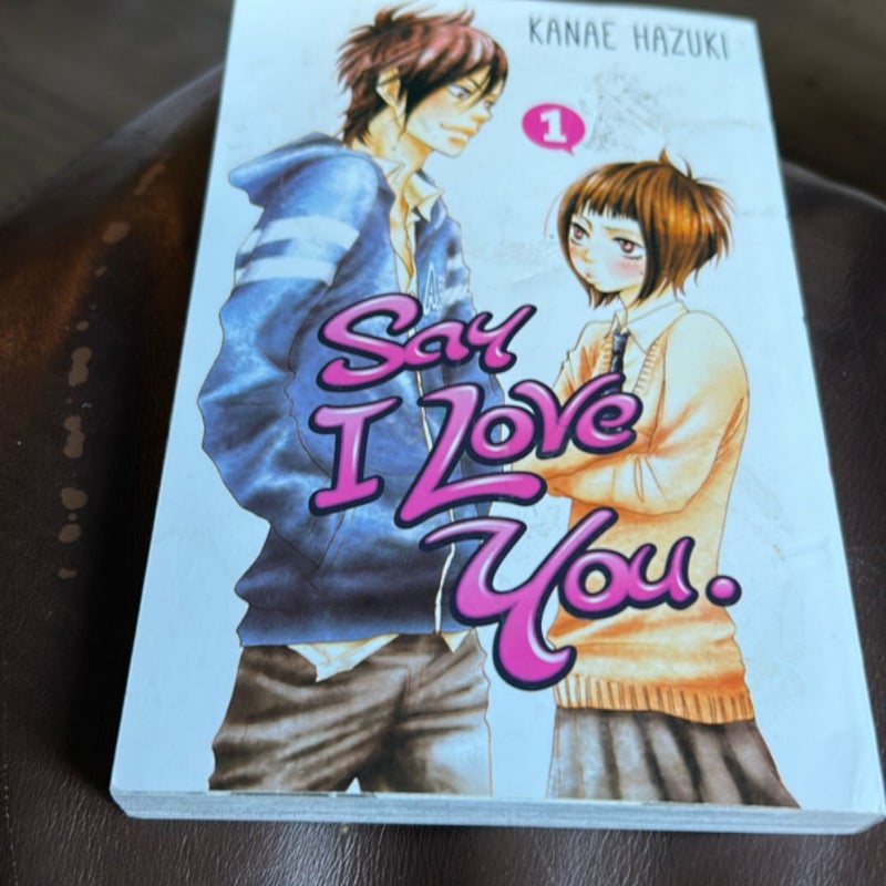 Say I Love You. 1