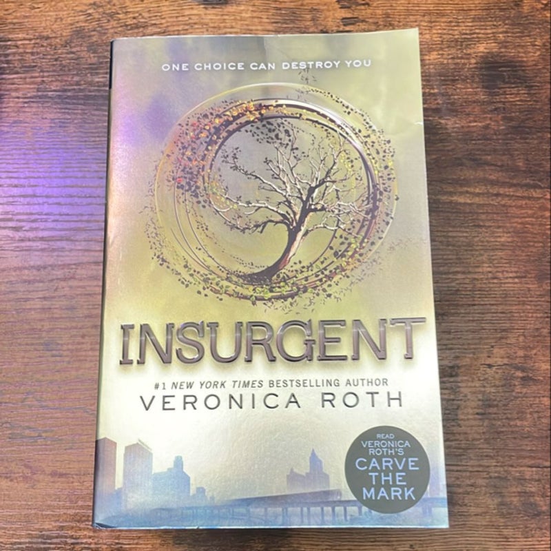 Divergent Series 