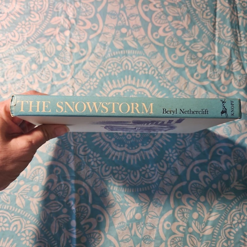 The Snowstorm