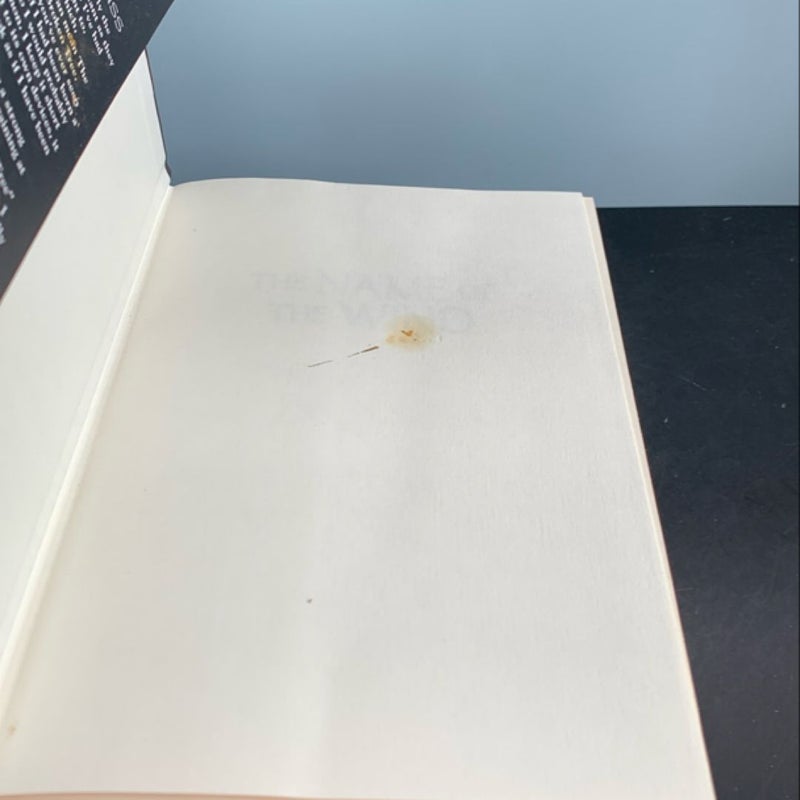 The Name of the Wind (Rare alternate Donato “Fabio” cover design, First Edition, 3rd Printing)