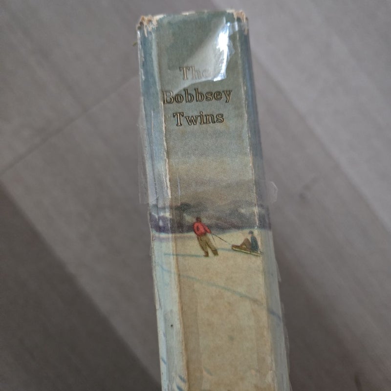 The Bobbsey Twins vintage- Merry Days Indoors and Out 1950 