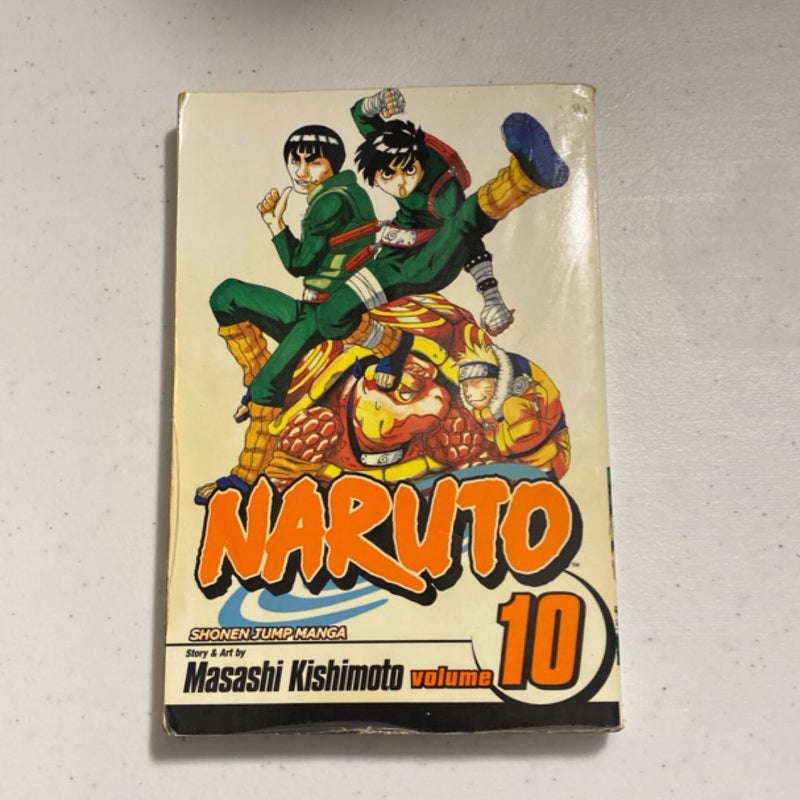 Naruto, Vol. 10