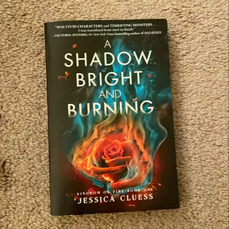 A Shadow Bright and Burning (Kingdom on Fire, Book One)