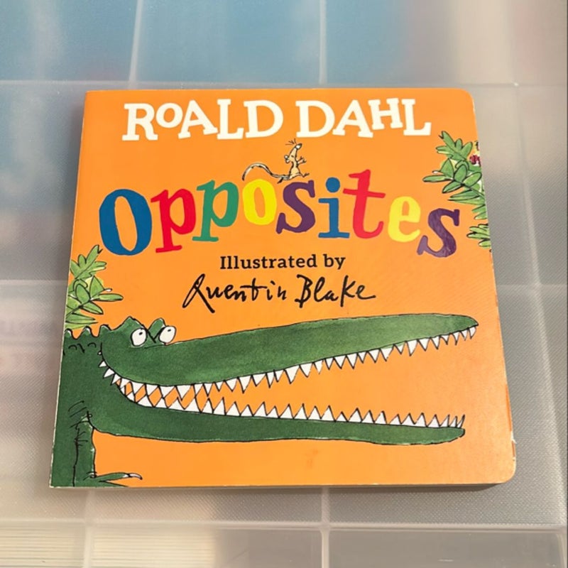 Roald Dahl Opposites