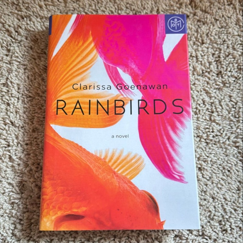 Rainbirds