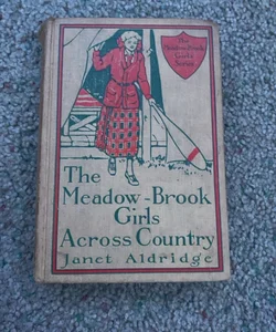 The Meadow-Brook Girls by the Sea