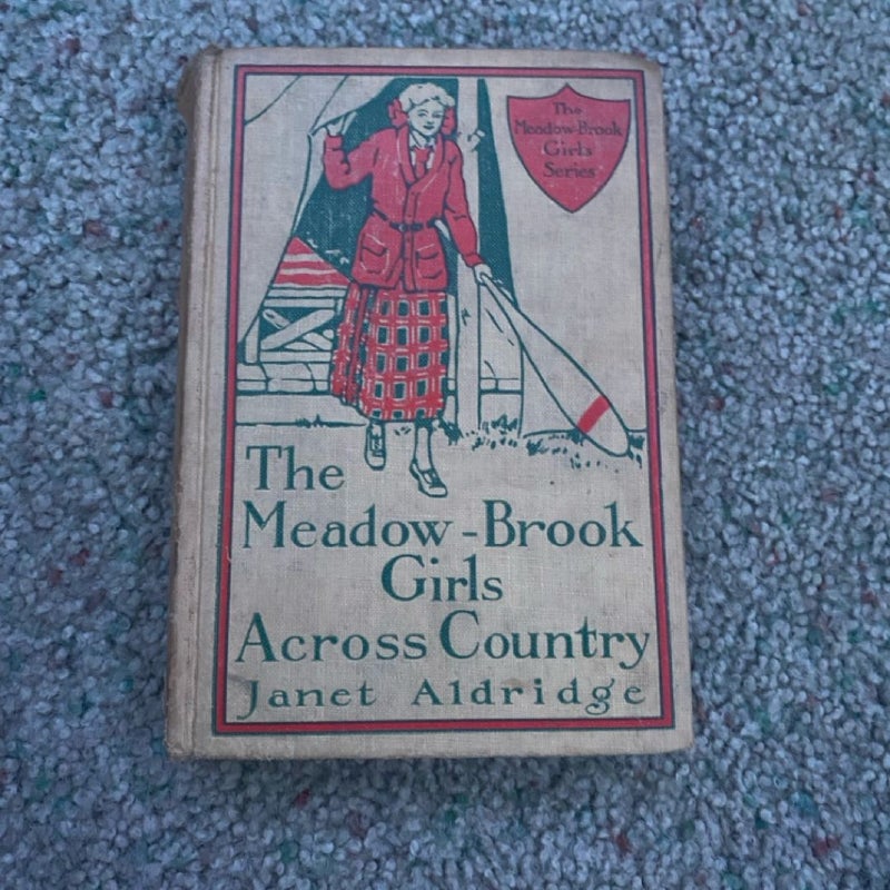 The Meadow-Brook Girls by the Sea