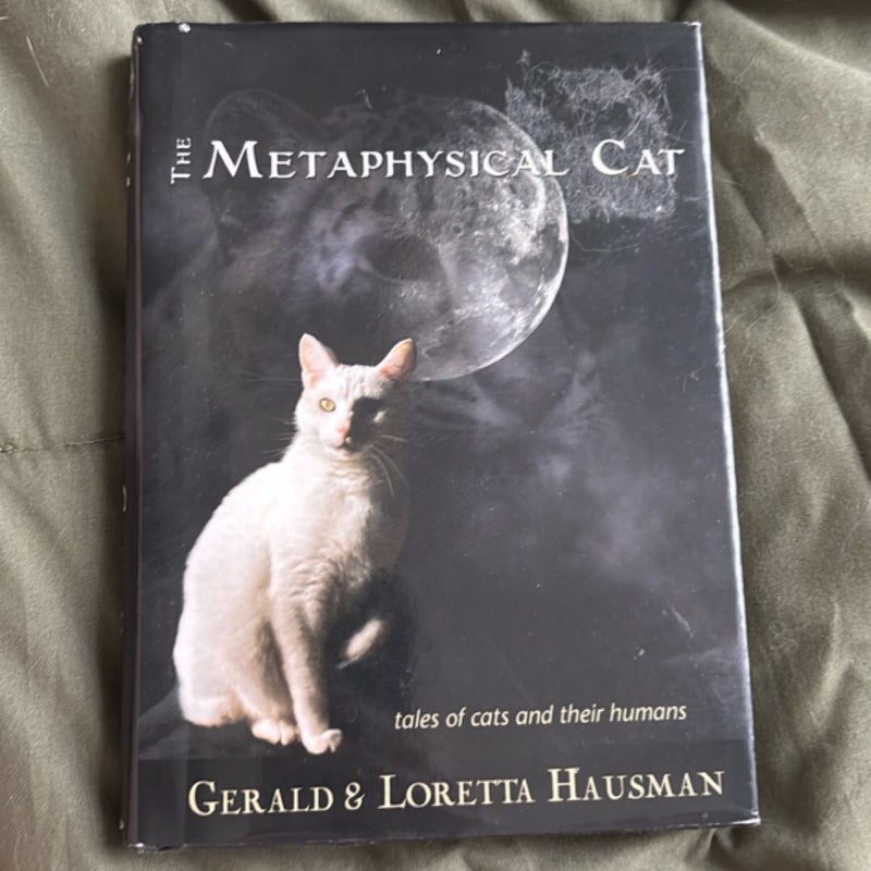 The Metaphysical Cat