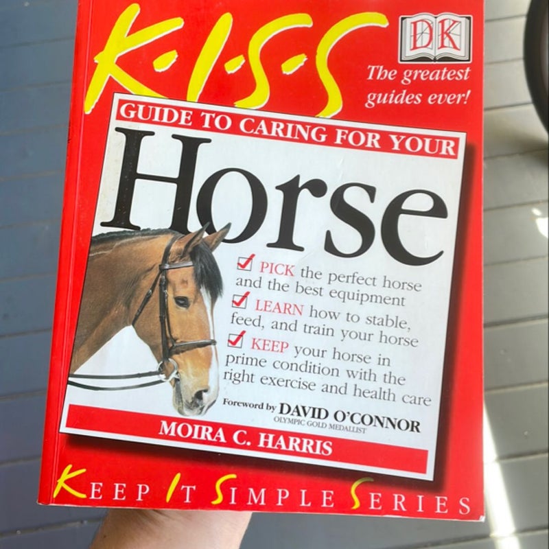 Guide to Caring for Your Horse