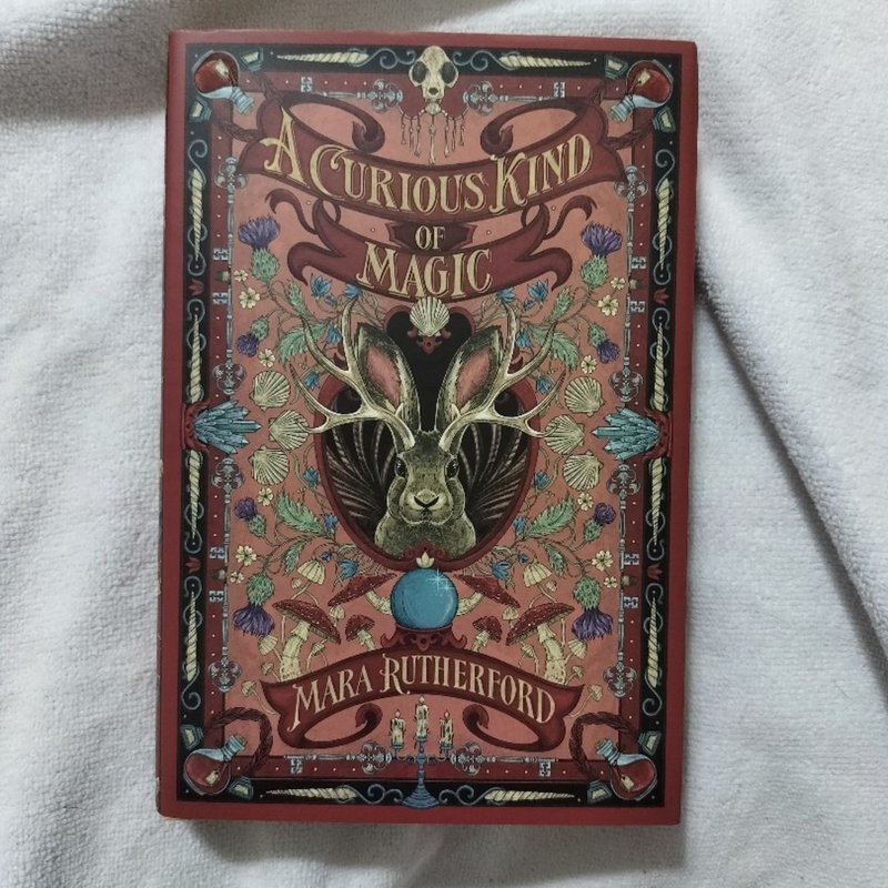 Owlcrate A Curious Kind of Magic by Mara Rutherford, Paperback | Pangobooks