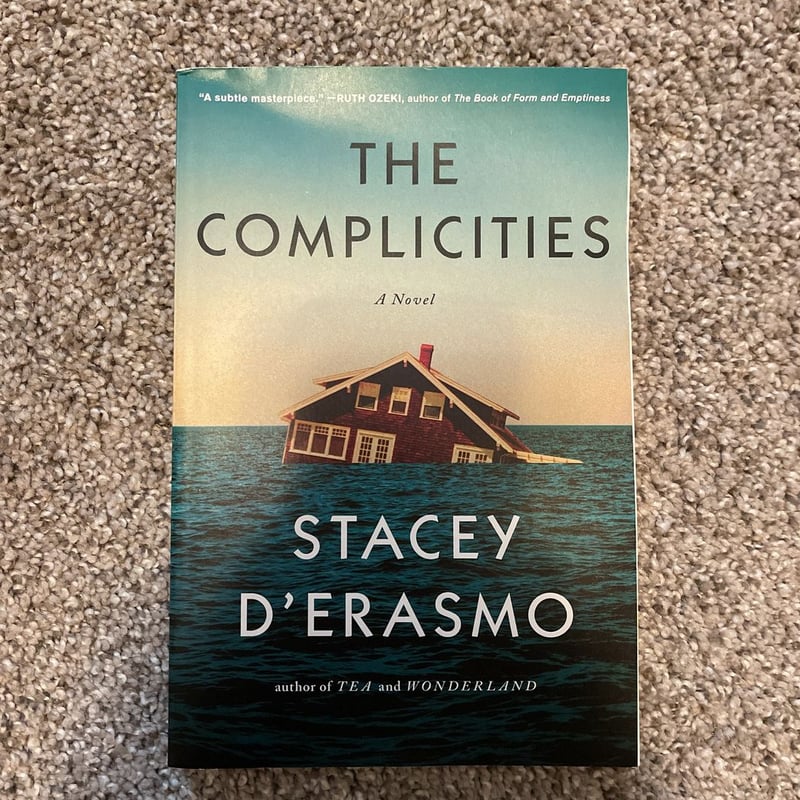 The Complicities by Stacey D'Erasmo, Paperback | Pangobooks