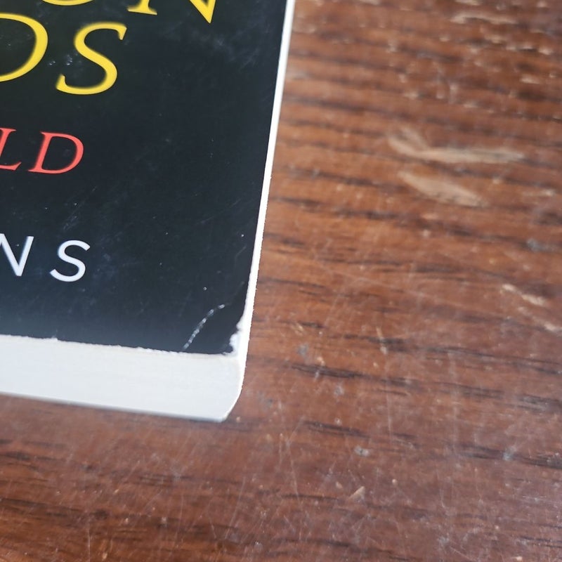 The Dragon Lords: Fool's Gold