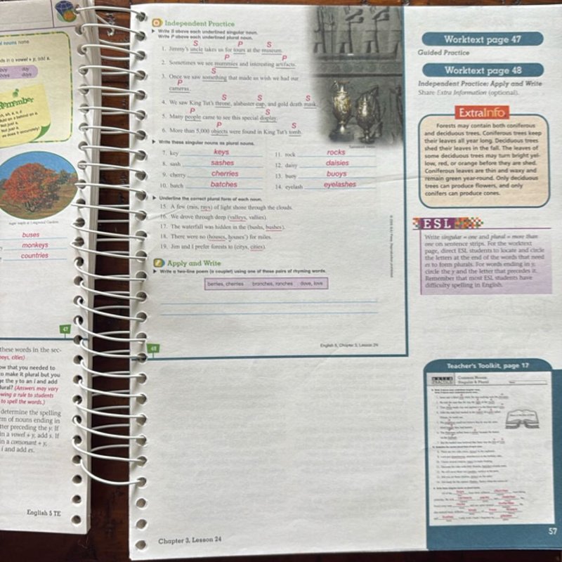 English 5 for Christian Schools