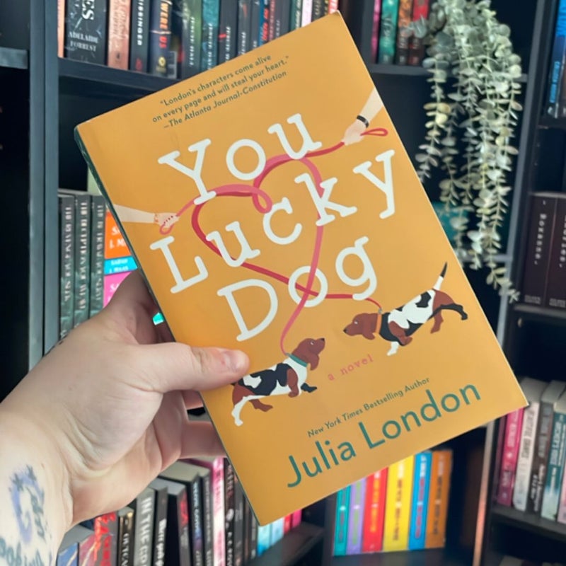 You Lucky Dog