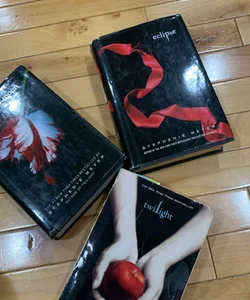 Twilight books 