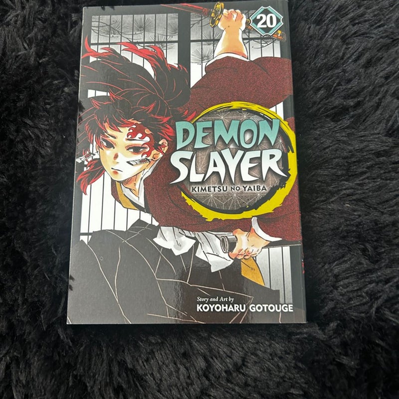 Demon Slayer: Kimetsu No Yaiba, Vol. 20