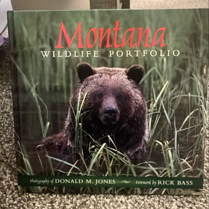 Montana Wildlife Portfolio