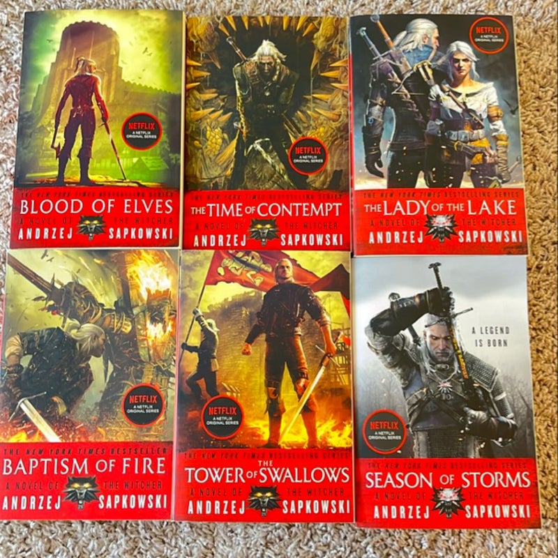 The Witcher series (all 8 books bundle)