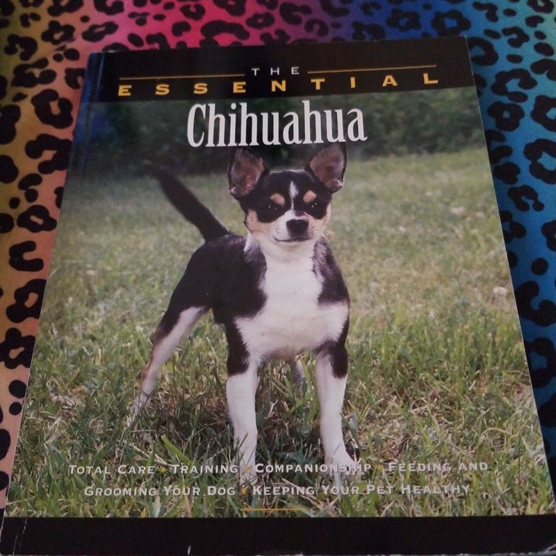 The Essential Chihuahua