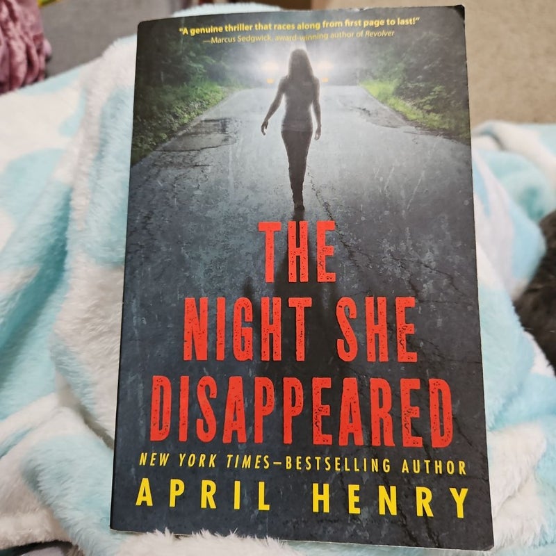 The Night She Disappeared