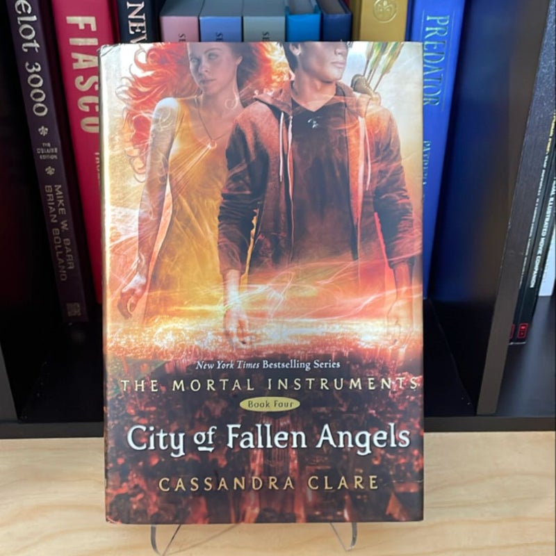 City of Fallen Angels