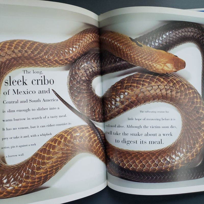 The Snake Book