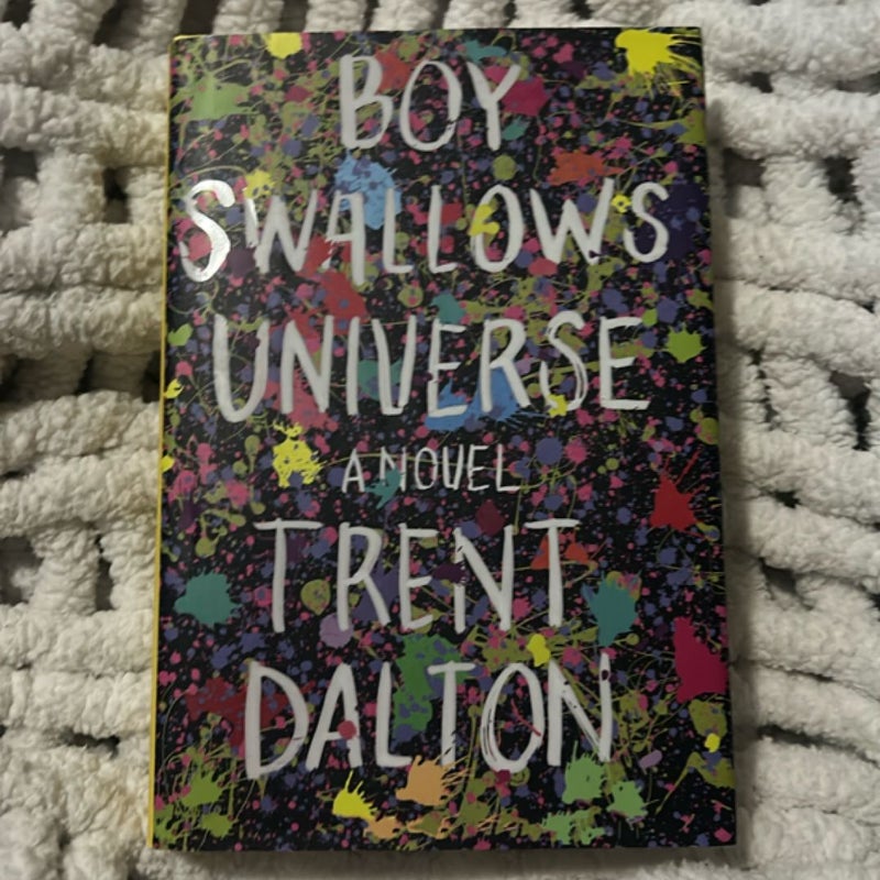 Boy Swallows Universe